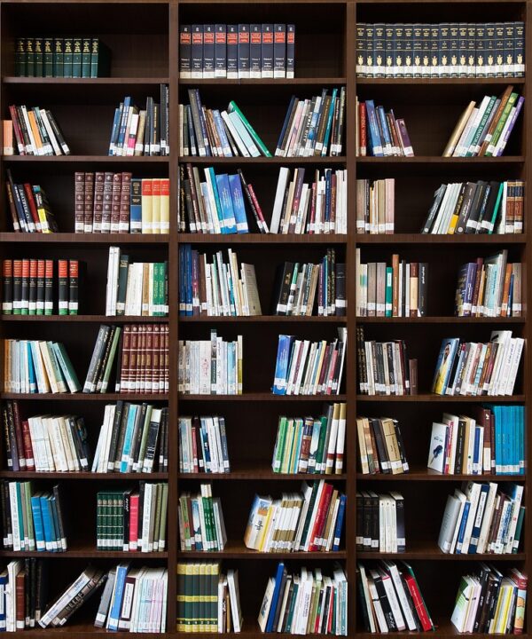 books, bookshelf, library, education, literature, read, knowledge, bookstore, row, research, learning, publication, reading, literary, shelf, books, bookshelf, bookshelf, bookshelf, bookshelf, library, library, library, library, library, education, research, learning, learning